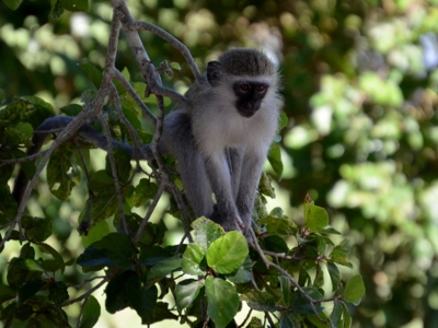 Route Zuid-Afrika - Dag 9