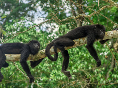 Route Guatemala, 21 dagen - Day 7