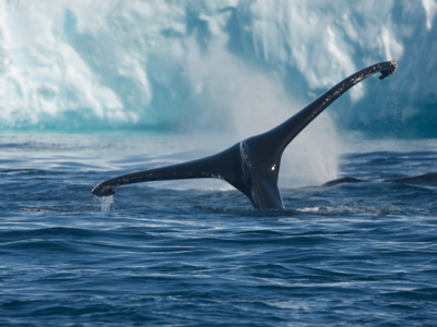 Route vier Arctische eilanden - Dag 7