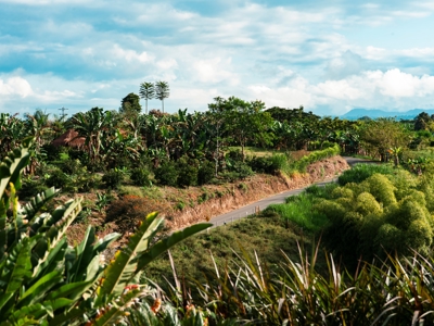 Route Colombia, 21 dagen 2025 - Day 7