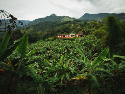 2025 Route Colombia, 21 dagen - Day 12