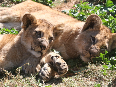 Route Zuid-Afrika - Dag 9