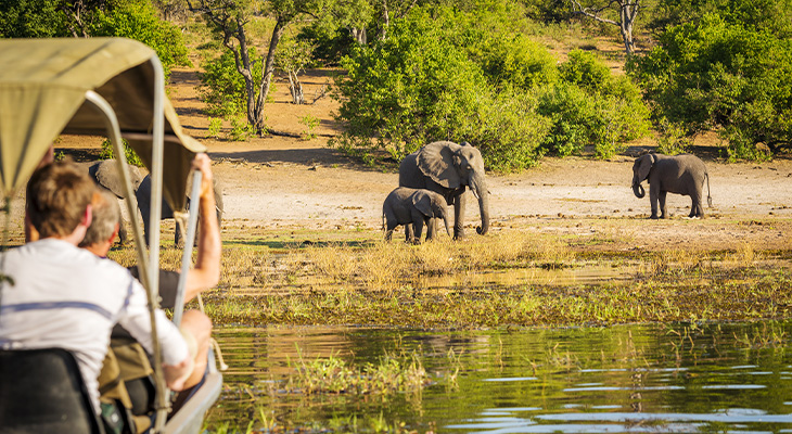 Big Five Botswana Big Five Botswana
