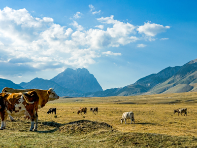 Route 14 daagse wandelvakantie De Centrale Apennijnen - Day 7