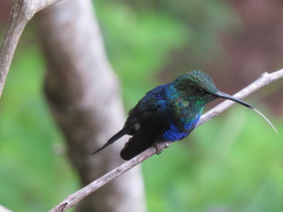 Route Noord-Peru - Dag 5