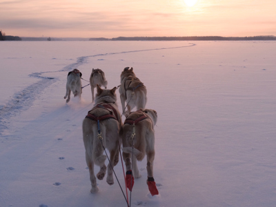 Route Lapland Winter - Kylmäluoma - Day 6