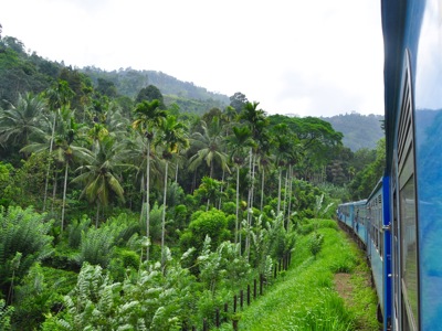 Route Sri Lanka en Malediven, 21 dagen OUD - Dag 12