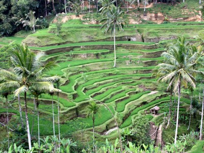 Route Java, Bali, Lombok & Gili Air, 22 dagen 2022 - Day 13