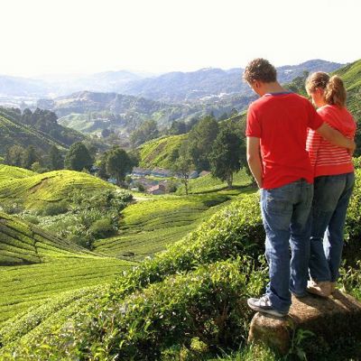 Cameron Highlands Maleisië