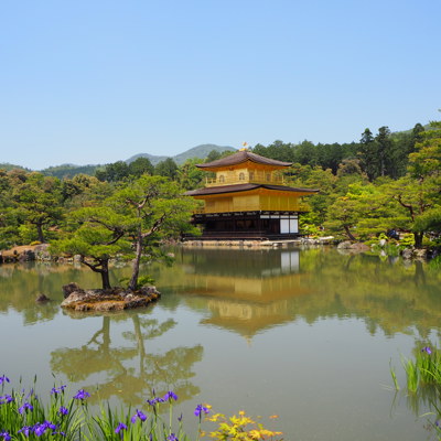 Golden Pavilion Kyoto