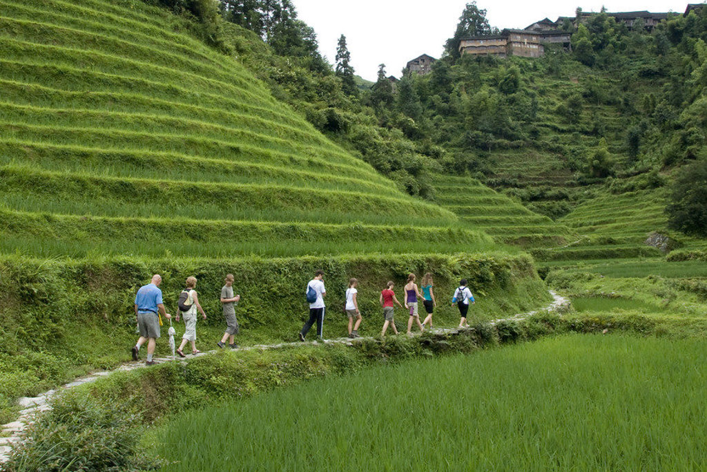 main_chh_dag_11-_China_-_Longji_rijstterrassen.jfif