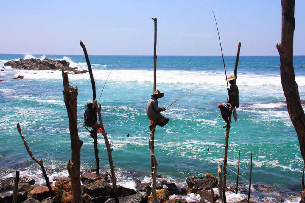 main_Paalvissers.jfif