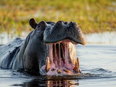 Route Kaapstad-Vic Falls - Dag 16