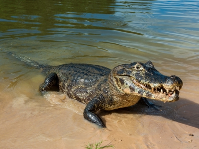 Route Brazilië en Buenos Aires, 21 dagen - Day 10