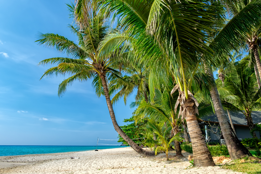 shutterstock_522221593_Ko_Chang_White_sand_beach.jpg