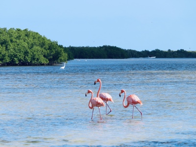 Route Mexico, 18 dagen - Day 6