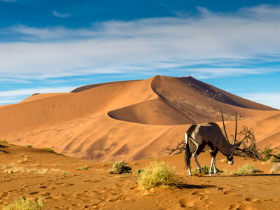 Route Kaapstad - Vic Falls - Day 9