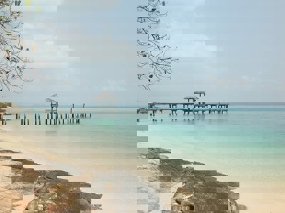 Boeddhabeeld met uitzicht op groene bergen in Thailand tijdens een familiereis.