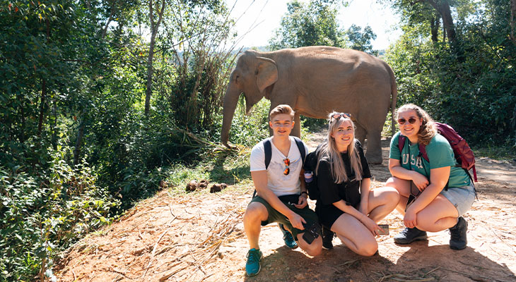 Chang Chill olifantenopvang