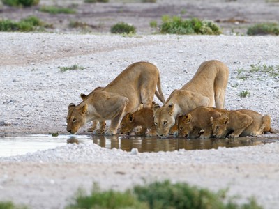 Route Victoria Falls - Windhoek, 22 dagen - Dag 12