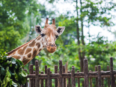 Route Kenia, 16 dagen - Day 2