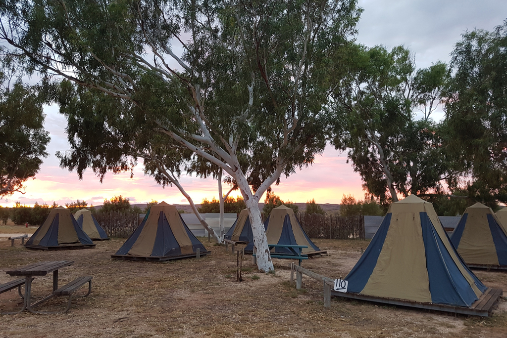 Yardi Creek campsite