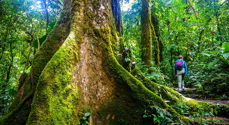 Regenseizoen Costa Rica Regenseizoen Costa Rica