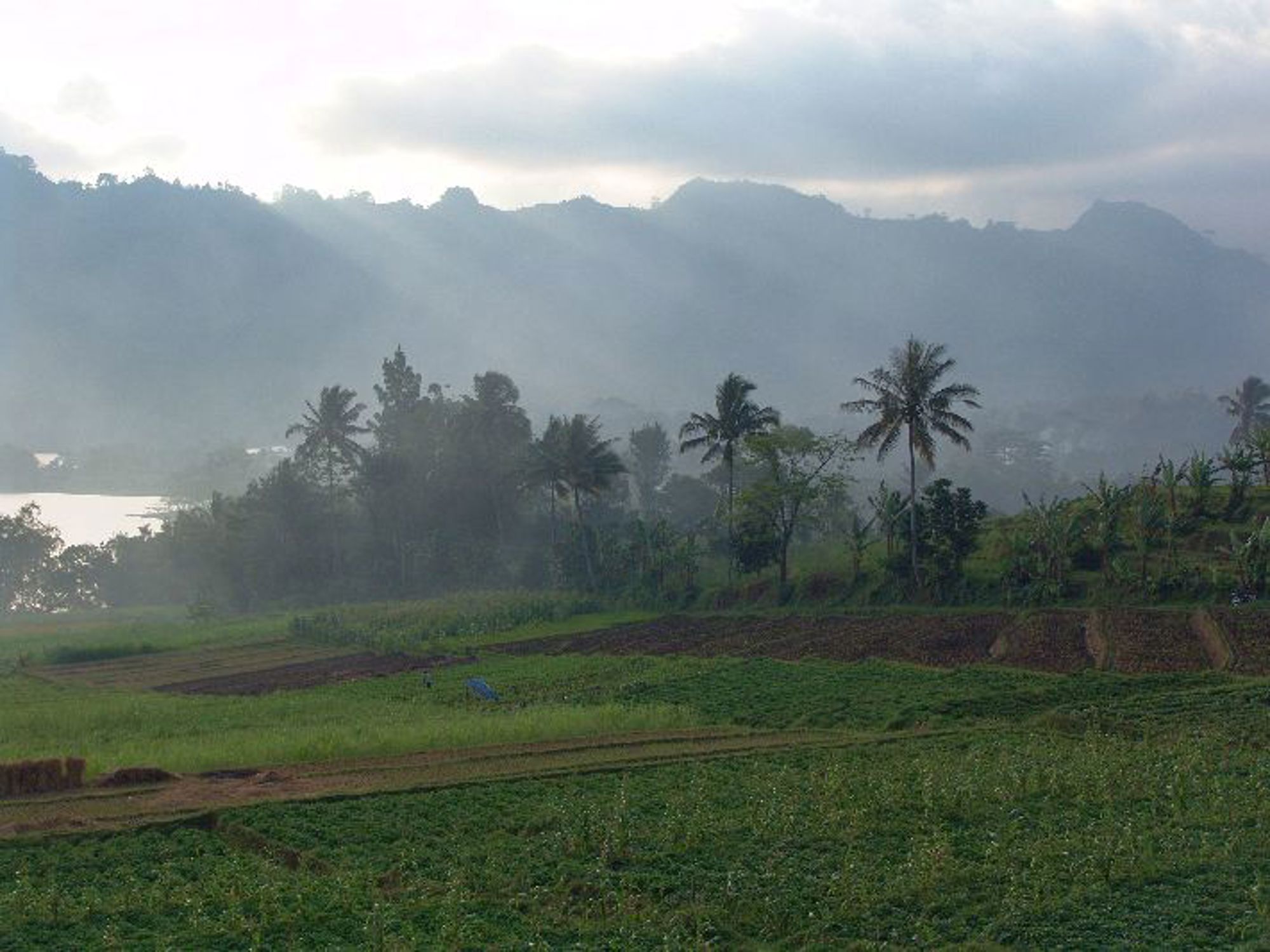 Groepsrondreis Java, Bali en Lombok
