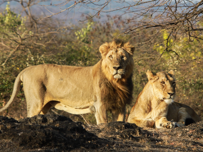 Route Gujarat, 19 dagen - Day 6