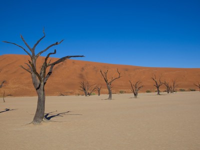 Route Namibië, 20 dagen - Dag 4