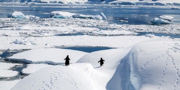 Groepsrondreis Antarctica