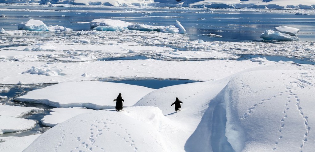 IJsbergen Antarctica