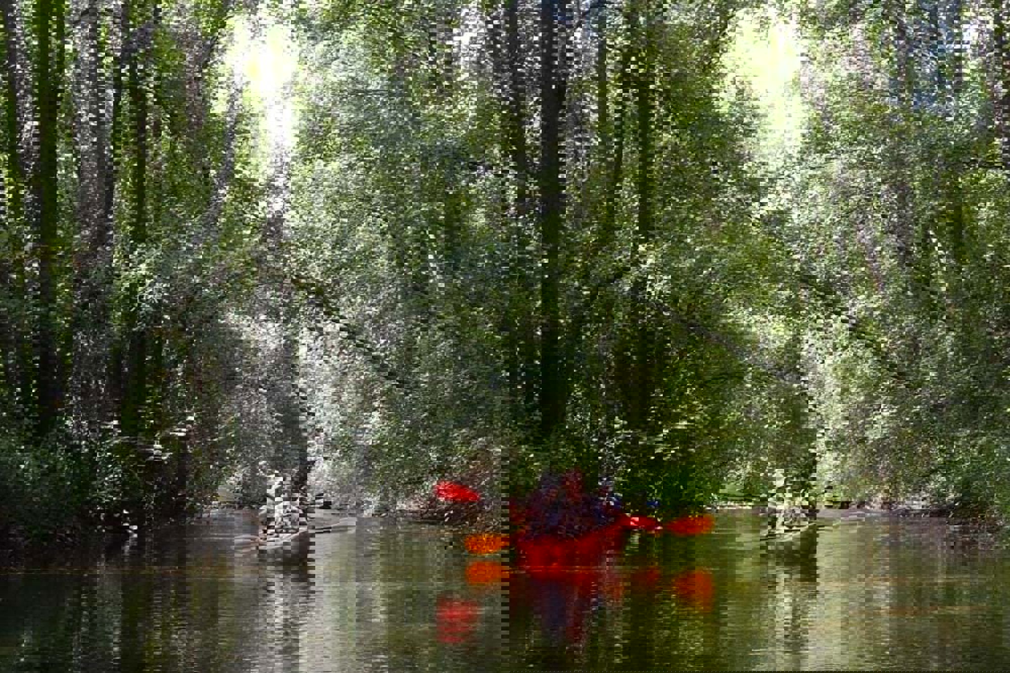 Groepsrondreis Estland, Letland en Litouwen