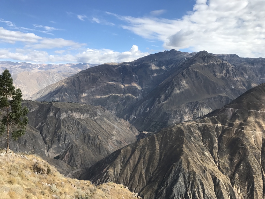 Colca canyon