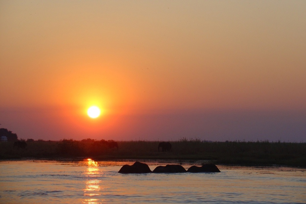 familiereis Zuidelijk Afrika chobe