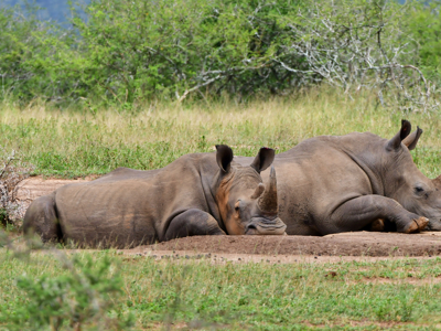 Nepal 22-35, 18 dagen - Day 13