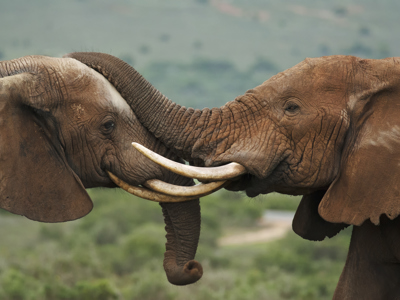 Route Kaapstad - Johannesburg - Dag 9