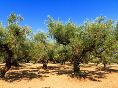 Route 1, Griekenland, 15 dagen 2024 (OUD) - Day 13