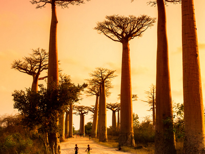 Route Kaapstad - Vic Falls, 27 dagen - Dag 22