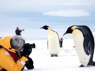 Route rondreis Antarctica 18 dagen - Dag 8