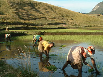 Route Madagascar 2019, 25 dagen - Dag 2