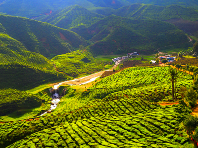 Route Maleisië Hoogtepunten 16 dagen - Dag 8