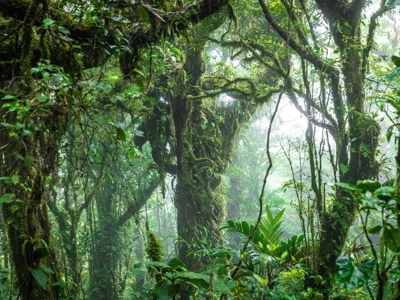 Route Costa Rica en Nicaragua, 22 dagen - Day 2