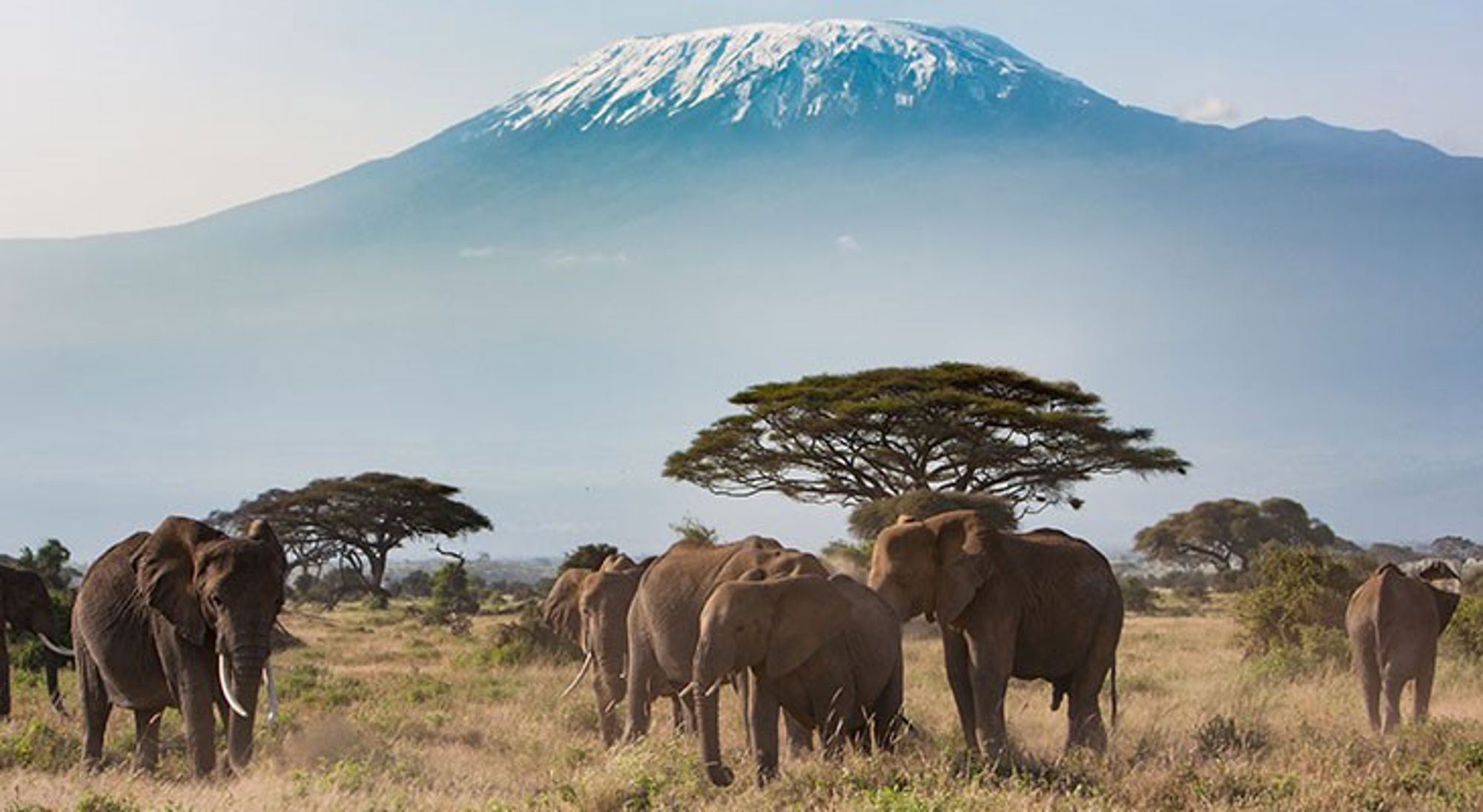 amboseli-nationaal-park