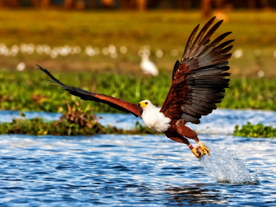 Route 22-35 Kenia & Tanzania, 20 dagen - Day 3