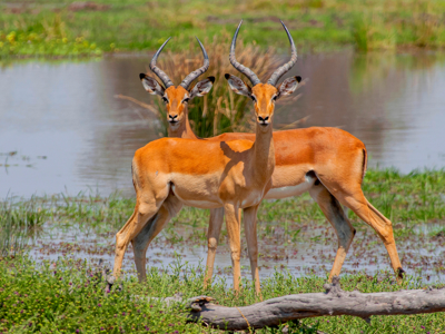 Route Vic Falls - Windhoek - Day 5