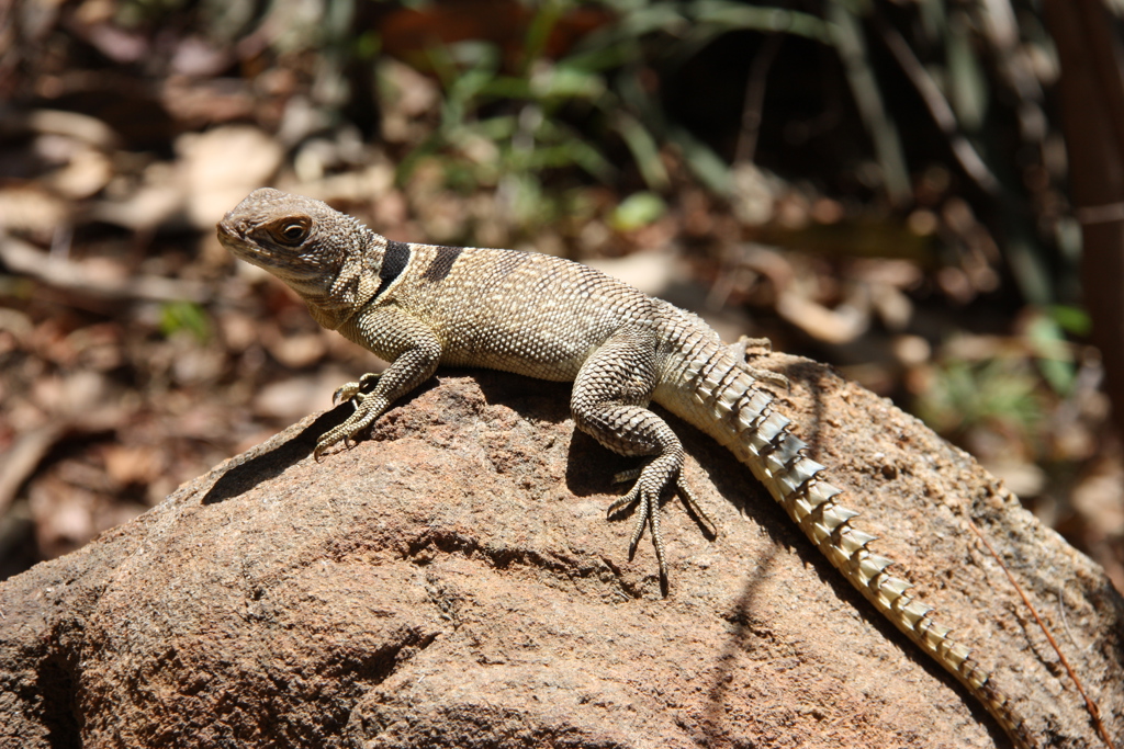 Joran de Ridder 2022 (20).JPG