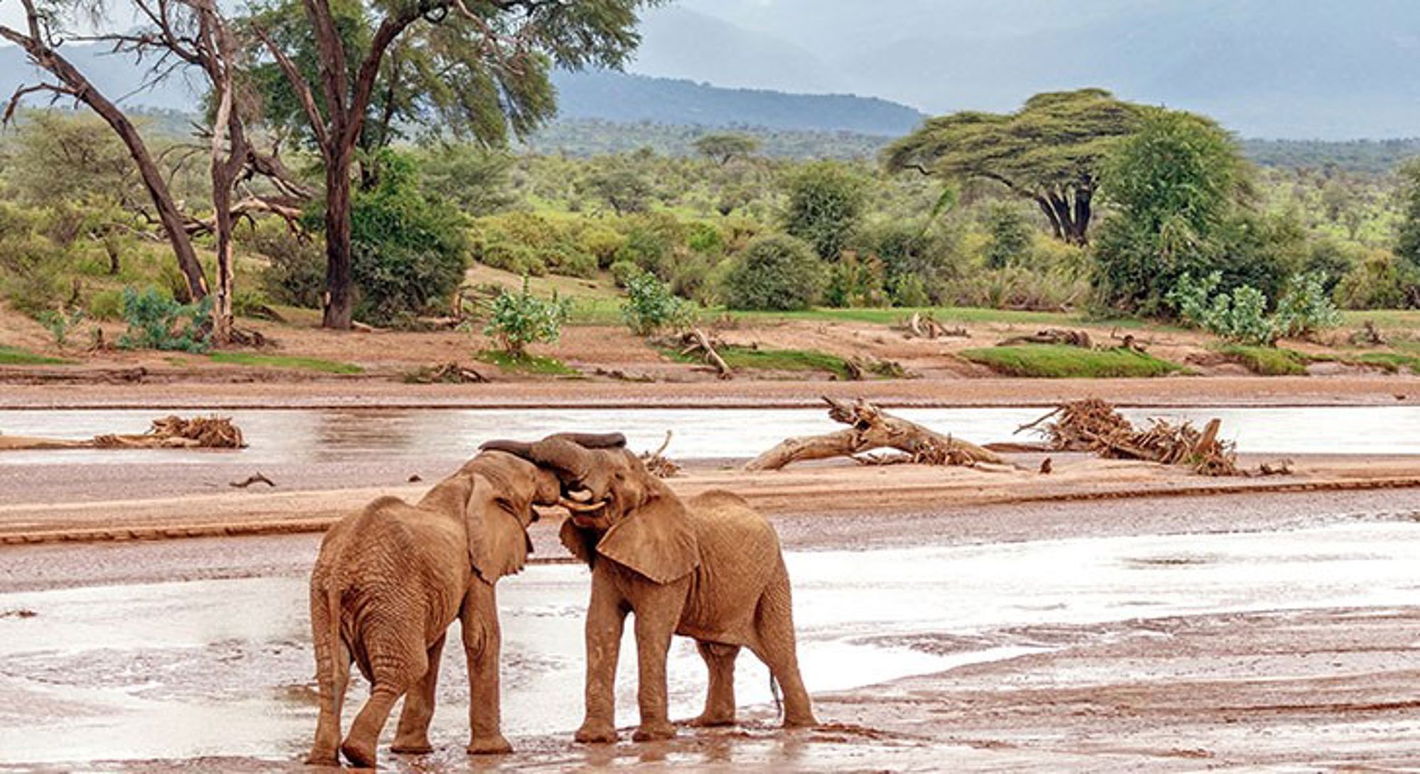 samburu-nationaal-park