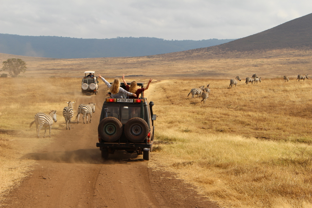 Familiereis Tanzania Ngorongoro Krater