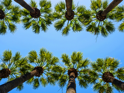 Route 1, Griekenland, 15 dagen (OUD) - Day 2